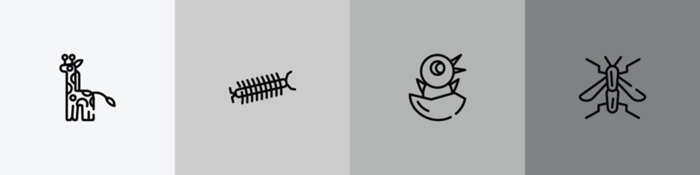 nature outline icon set featuring giraffe, centipede, chick, wasp icons.
