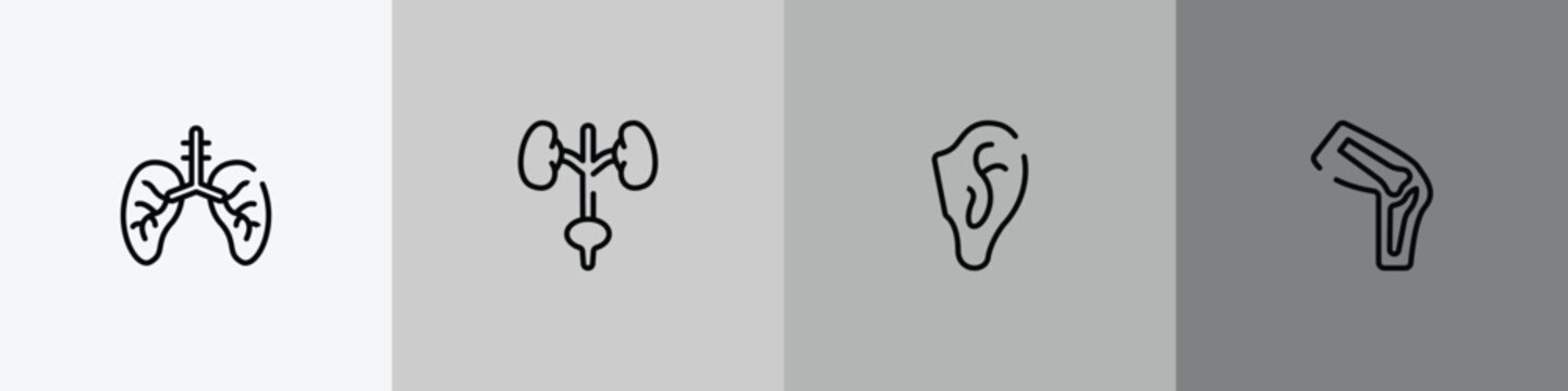 body parts outline icon set featuring lungs with the trachea, excretory system, ear, kneecap icons.