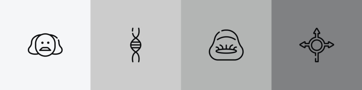 driving school outline icon set featuring shakespeare, genetic, beanbag, roundabout icons.