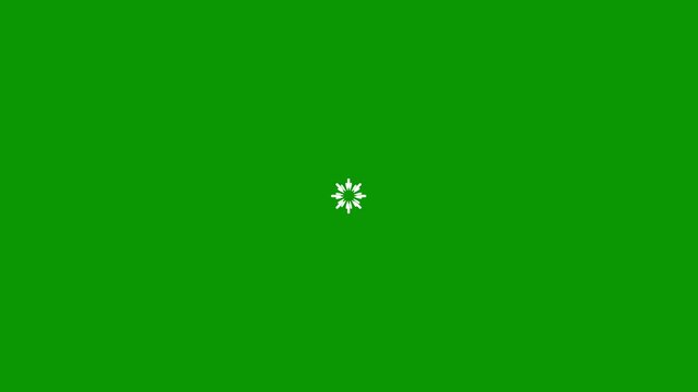 Fireworks celebration background. firework blast circle pop up loop animation,Cartoon Shape Style Fireworks Animation of Fireworks.firework sparkle explosion on green screen background.4k