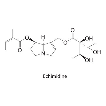 Echimidine skeletal structure. alkaloid compound schematic illustration. Simple diagram, chemical formula.
