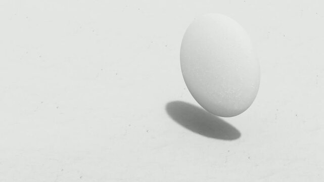 Isolated white egg balancing on a smooth surface with a soft shadow in studio light.