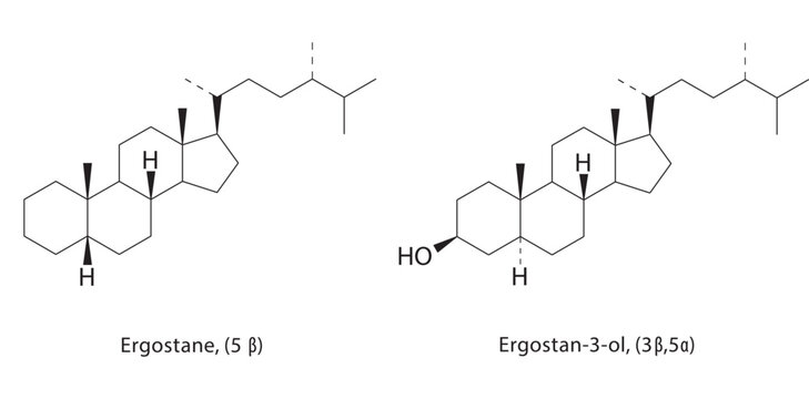 Ergostane (5&beta;) skeletal structure. steroid compound schematic illustration. Simple diagram, chemical formula.