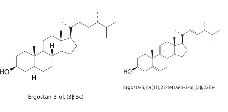 Ergosta-5,7,9(11),22-tetraen-3-ol skeletal structure. sterol compound schematic illustration. Simple diagram, chemical formula.