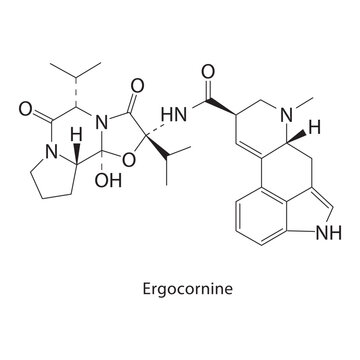 Ergocornine skeletal structure. ergot alkaloid compound schematic illustration. Simple diagram, chemical formula.