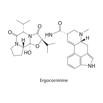 Ergocorninine skeletal structure. ergot alkaloid compound schematic illustration. Simple diagram, chemical formula.