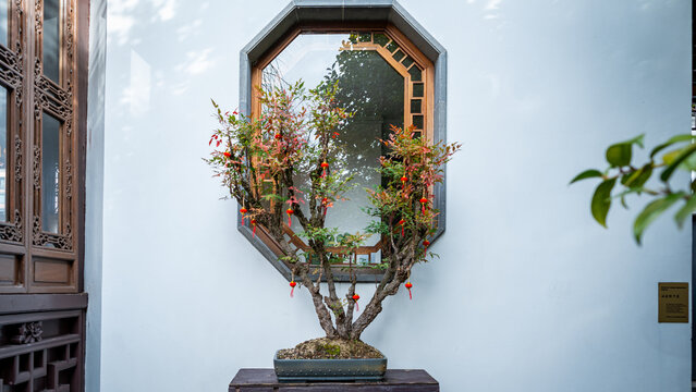 View of a bonsai tree decorated with small red lanterns in front of an octagonal window at the Lan Su Chinese Garden, Portland, Oregon, United States.