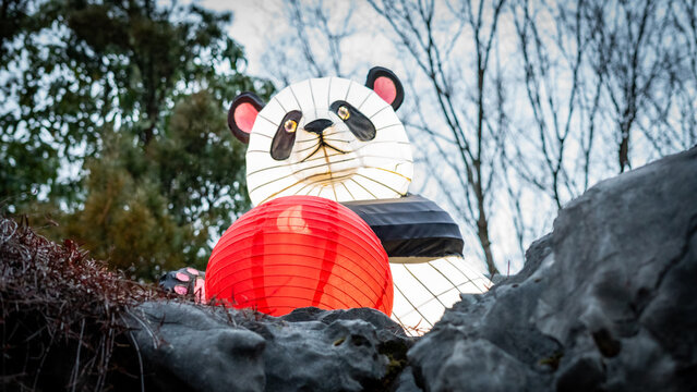 View of a large panda lantern holding a red ball lantern at the Lan Su Chinese Garden surrounded by rocks and trees in Portland, Oregon, United States.