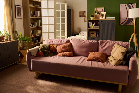 Wide angle shot of studio apartment interior featuring sofa, bed, shelving, decor, illustrating compact urban living and home staging. Suitable for real estate, rental, interior design marketing