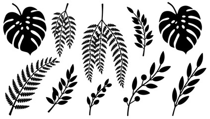 A simple yet striking black and white illustration of a fern branch. Perfect for botanical designs, nature-themed backgrounds, or minimalist branding. © tordi