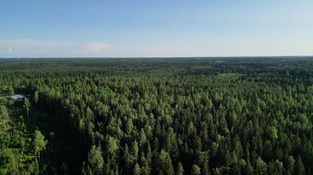 Aerial Drone View of Kaukaj&auml;rvi in Kangasala forest on a Sunny Summer Day