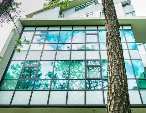 View of a modern glass building reflecting green pine trees and a blue sky with white clouds Taiwan.