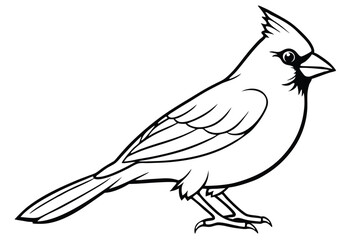 Obraz premium cardinal silhouette line art vector illustration with a white background