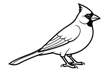 Obraz premium cardinal silhouette line art vector illustration with a white background