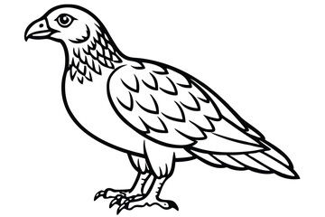 Fototapeta premium buzzard bird silhouette line art vector illustration with a white background