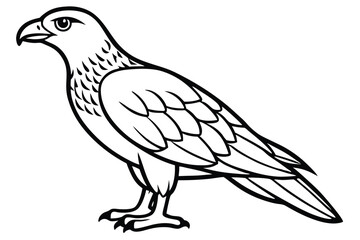 Fototapeta premium buzzard bird silhouette line art vector illustration with a white background