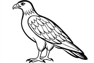 Fototapeta premium buzzard bird silhouette line art vector illustration with a white background