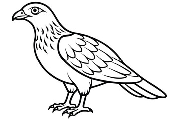 Obraz premium buzzard bird silhouette line art vector illustration with a white background