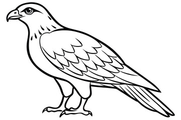 Obraz premium buzzard bird silhouette line art vector illustration with a white background