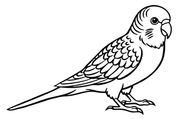Fototapeta premium budgerigar bird silhouette line art vector illustration with a white background