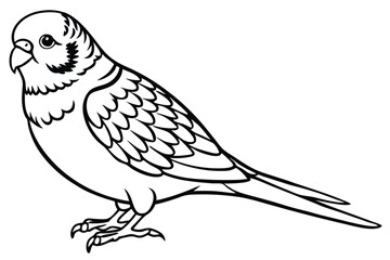 Fototapeta premium budgerigar bird silhouette line art vector illustration with a white background