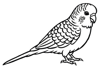 Fototapeta premium budgerigar bird silhouette line art vector illustration with a white background