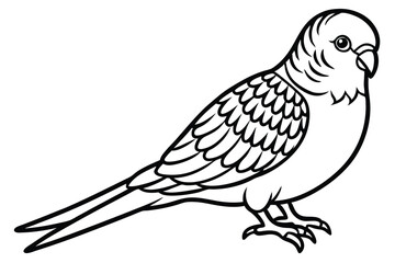 Obraz premium budgerigar bird silhouette line art vector illustration with a white background