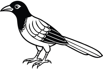 Obraz premium bowerbird silhouette line art vector illustration with a white background