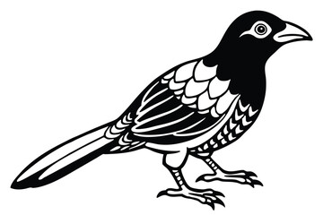 Fototapeta premium bowerbird silhouette line art vector illustration with a white background