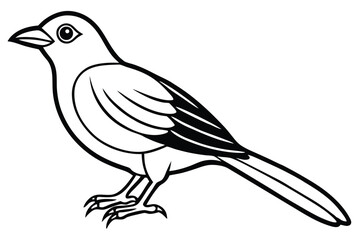 Fototapeta premium bowerbird silhouette line art vector illustration with a white background