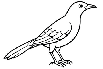 Obraz premium bowerbird silhouette line art vector illustration with a white background