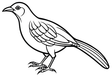 Fototapeta premium bowerbird silhouette line art vector illustration with a white background