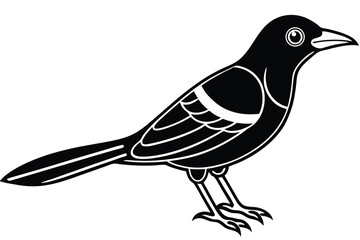 Obraz premium bowerbird silhouette line art vector illustration with a white background