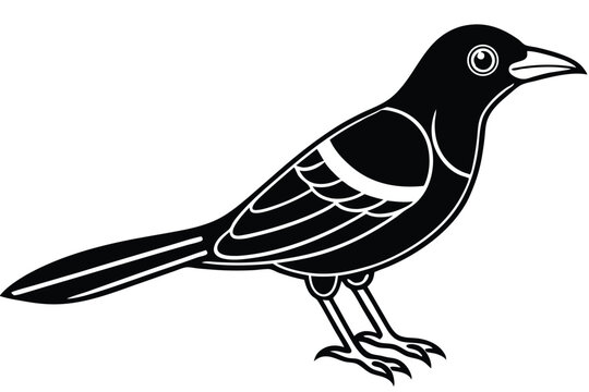 bowerbird silhouette line art vector illustration with a white background
