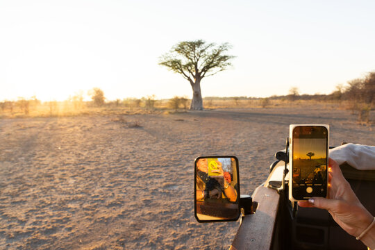 woman using smart phone to photograph baobab tree, Makgadikgadi National Park, Botswana, Africa
