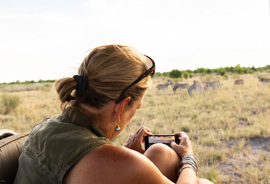 woman photographing zebra, mobile safari, Makgadigadi National Park, Botswana, Africa