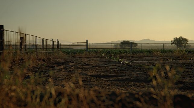 Ranch fence marks the boundary between tilled crop fields and open countryside as golden morning light silhouettes distant hills at dawn, peaceful and expansive