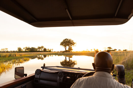 Wooden bridge, Okavango Delta, Botswana, Africa