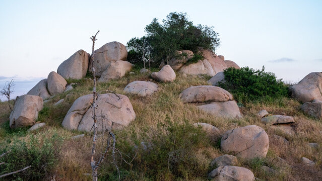 View of Splitrock Baby Oaks featuring large granite boulders scattered across a grassy hillside with green shrubs under a clear sky in Fallbrook, California, United States.