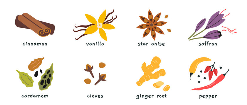 Set of spices like cinnamon, vanilla, saffron, cardamom and more. Aromatic ingredients collection for cooking, baking and drink flavoring concept. Trendy vector illustration, hand drawn, flat design