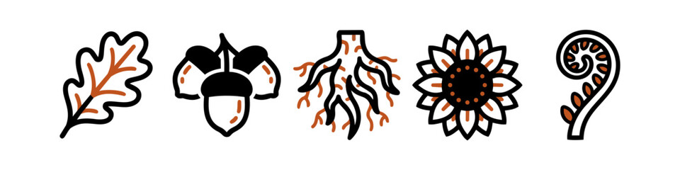 Botany and Plant Life Vector Icon Set - Hand-Drawn Floral Elements: Oak Leaf, Acorns, Roots, Sunflower and Fern © Victor