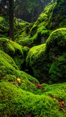 Obraz premium Lush, verdant landscape dominated by moss-covered rocks. The vibrant green creates a fairytale-like atmosphere. Forest setting, rocks, and a misty feel