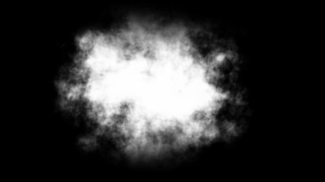 Smoke Transition with Soft Organic Cloud Expansion And Dissolve Animation. Volumetric Smoke Spreads And Fades Smoothly To Reveal Or Hide Content.. Clean Black And White Alpha Style 