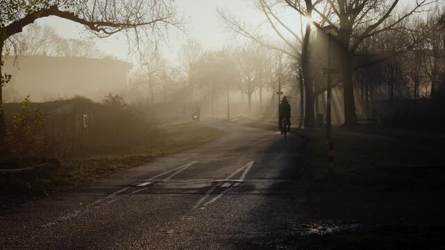 Cycling Through Sun Rays and Fog