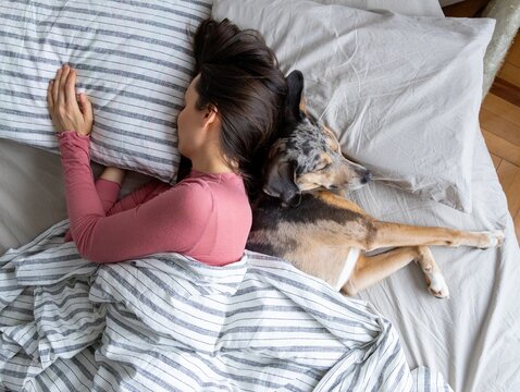 top view of sleeping woman and dog in bed. girl and pet sleep comfortably together and cuddle. happy owner wakes up next to his dog. rest in bathroom after hard day. dog training, insomnia treatment.