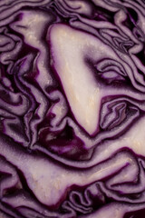 Obraz premium Red cabbage cross section showing abstract vibrant texture