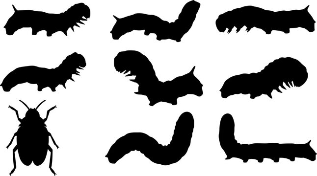 Caterpillar silhouettes collection, worm insect species, crawling larvae, entomology art, vector illustration, nature design, wildlife icon, garden pest, bug pattern, segmented ... See More
