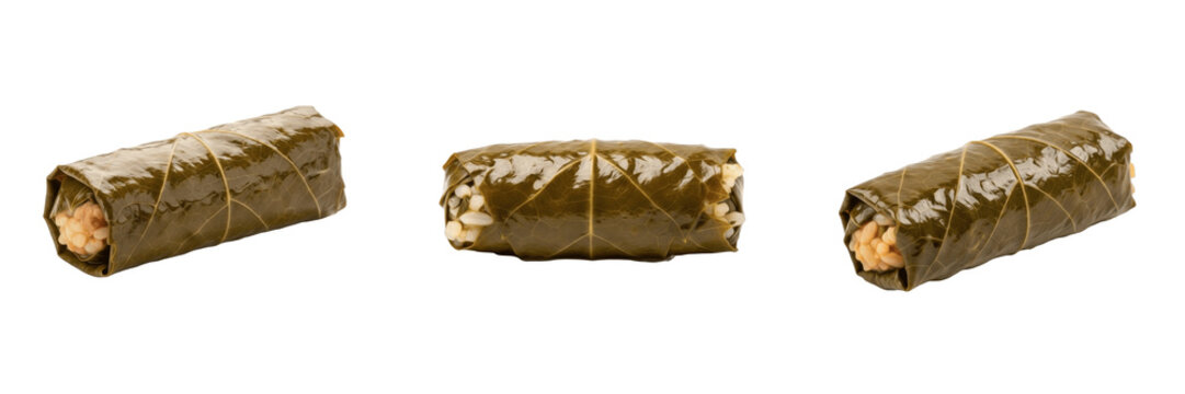 Traditional Stuffed Grape Leaves Dolma Isolated on White Background Mediterranean Appetizer Food Graphic Illustration Design Element High Quality Transparent PNG Asset Reference