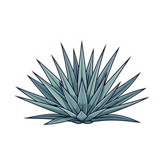 Fototapeta premium Agave plant icon desert botanical succulent illustration
