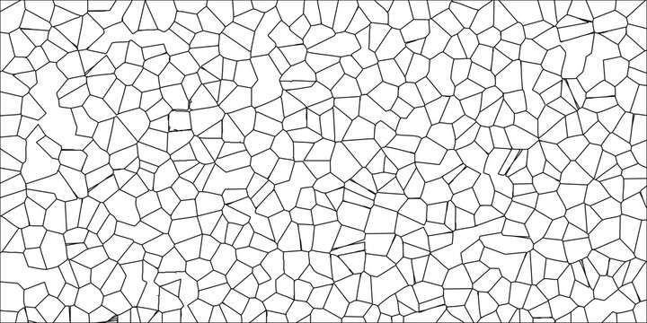 Organic Black and White Voronoi Tessellation Vector with Irregular Polygonal Shapes and Detailed Network